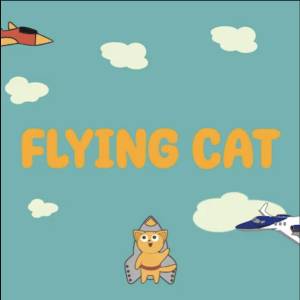 Flying cat PS5