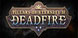 Pillars of Eternity 2 Deadfire Nintendo Switch
